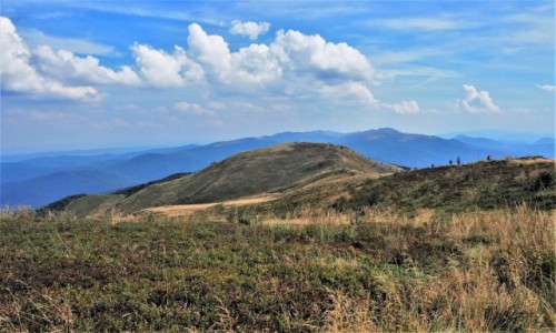 Zdjecie POLSKA / Bieszczady / Poonina Caryska / nie ma schronienia, ale...