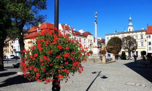 Zdjecie POLSKA / Dolny lsk / Olenica / rynek