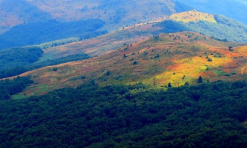 Zdjęcie POLSKA / Bieszczady / na  szlaku: Wołosate - Halicz -Tarnica- Wołosate / barwne połoniny...
