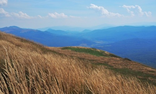 Zdjecie POLSKA / Bieszczady / Poonina Caryska / po pierwsze - trawy...