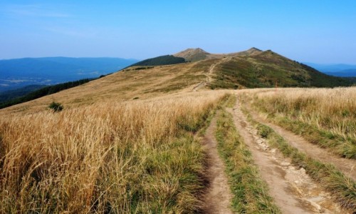 Zdjecie POLSKA / Bieszczady / Poonina Wetliska / na Wetliskiej...