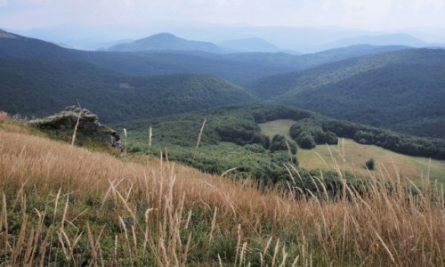 Zdjęcie POLSKA / Bieszczady / na szlaku Wołosate - Halicz - Tarnica - Wołosate / iść, czy zostać może....