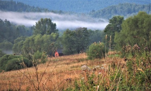 Zdjecie POLSKA / Bieszczady / Strzebowiska / po ulewie...