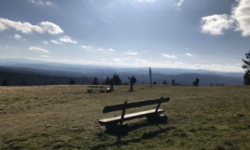 Zdjcie POLSKA / Beskid lski / Rysianka / Rysianka