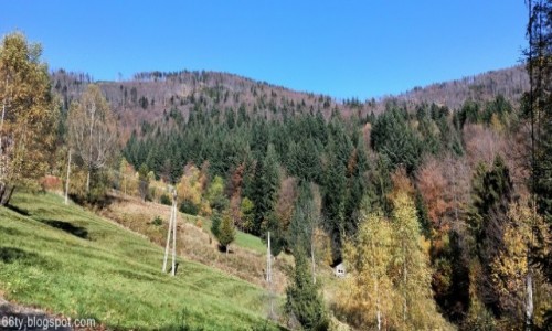 Zdjecie POLSKA / Beskidy / Beskid lski / Jesie w grach