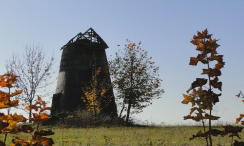 Zdj�cie POLSKA / Podlasie / Kamienna Stara / Odkrywanie Podlasia.