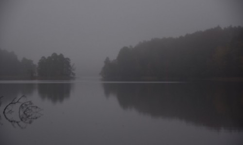 Zdj�cie POLSKA / Drawie�ski Park Narodowy / Jezioro Marta / Jezioro i mg�a