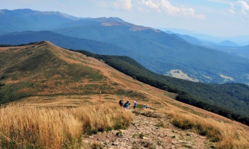 Zdjecie POLSKA / Bieszczady / Poonina Caryska / nieco wysza od Wetliskiej...