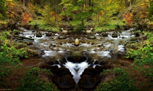 Zdjecie POLSKA / Zakopane / Tatrzaski Park Narodowy / Jesie w Zakopanem....