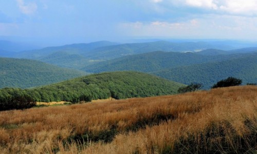 Zdjecie POLSKA / Bieszczady / Grna Wetlinka / raduj si cisz...