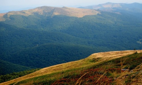 Zdjęcie POLSKA / Bieszczady / szlak przez Halicz i Rozsypaniec / na skraju...