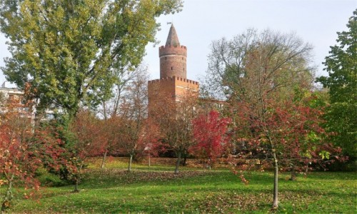 Zdj�cie POLSKA / zachodniopomorskie / Gryfino / Brama Ba�ska w Gryfinie