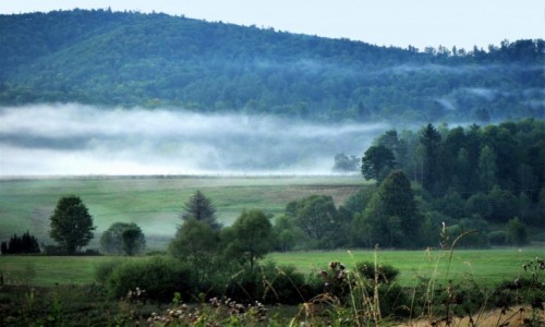 Zdjecie POLSKA / Bieszczady / Strzebowiska / unosi si coraz wyej i wyej...
