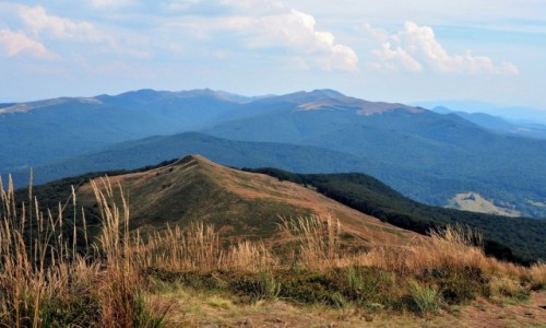Zdjęcie POLSKA / Bieszczady / Połonina Caryńska / między dolinami Prowczy i Wołosatego...
