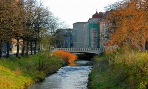 Zdjcie POLSKA / lskie / Gliwice / Rzeka Kodnica