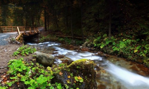 Zdjcie POLSKA / Zakopane / Tatrzaski Park Narodowy / Tatrzaski Park Narodowy