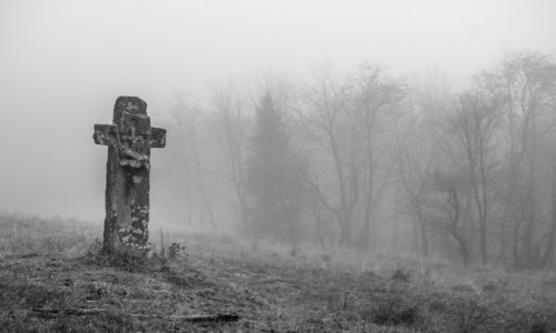 Zdjecie POLSKA / wojewdztwo maopolskie / Beskid Sdecki / w lesie listopadowym