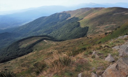 Zdjęcie POLSKA / Bieszczady / szlak Wołosate-Halicz-Tarnica / w drodze na Tarnicę...