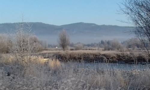 Zdjęcie POLSKA / malopolskie / blisko aeroklubu w Nowym Targu / jeszcze nie śnieg