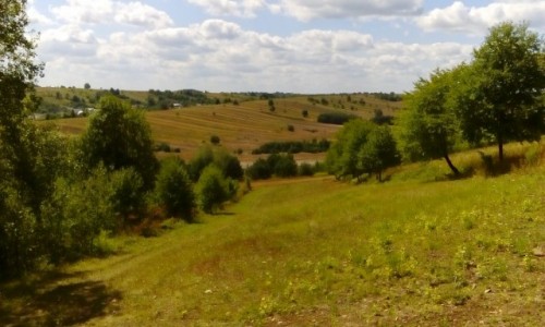 Zdjcie POLSKA / Roztocze / Roztoczaski Park Narodowy / Widok z Bukowej Gry