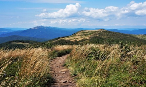 Zdjecie POLSKA / Bieszczady / Bukowe Berdo / przez Bukowe Berdo...