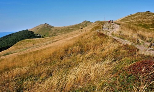 Zdjecie POLSKA / Bieszczady / z Grnej Wetlinki na Osadzki Wierch / dotkn nieba...