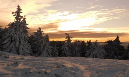 Zdjcie POLSKA / beskid ywiecki / masyw pilska / mrony zachd na Pilsku 