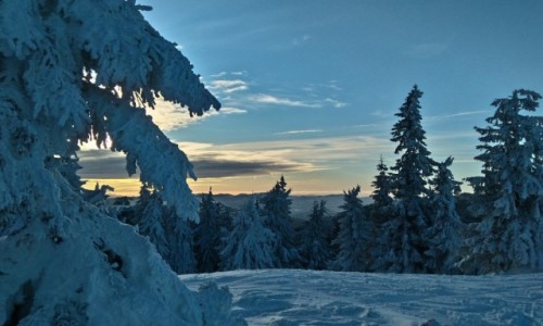 Zdjecie POLSKA / beskid ywiecki / masyw pilska / pod szczytem Pilska