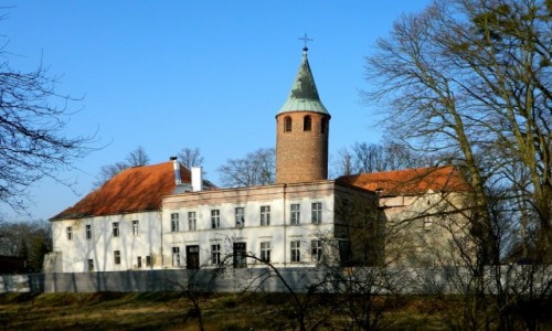 Zdjecie POLSKA / opolskie / Karowice / Zamek
