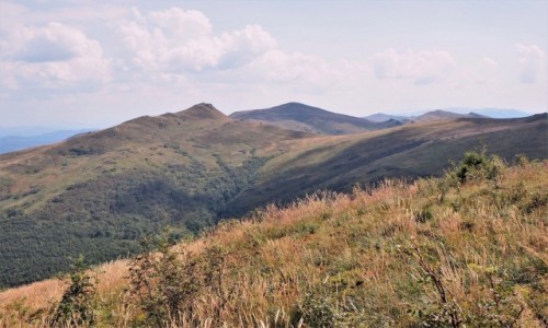 Zdjecie POLSKA / Bieszczady / Bukowe Berdo / malowniczo dookoa...
