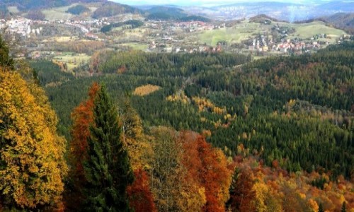 Zdjcie POLSKA / dolnolaskie / Kunice widnickie / Widok na Boguszw-Gorce z Dzikowca