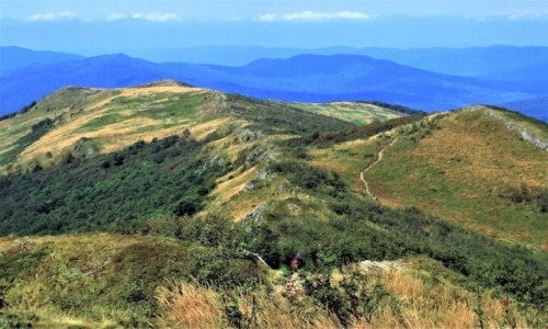 Zdjecie POLSKA / Bieszczady / Bukowe Berdo / dokd oczy ponios...