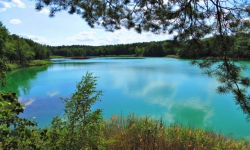 Zdjecie POLSKA / Lubuskie / Geopark uk Muakowa, tereny dawnej kopalni odkrywkowej Babina / magicznie i kolorowo...