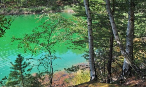 Zdjecie POLSKA / Lubuskie / Geopark uk Muakowa, tereny dawnej kopalni odkrywkowej wgla brunatnego 