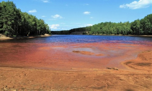 Zdjcie POLSKA / Lubuskie / Geopark uk Muakowa, Jezioro 