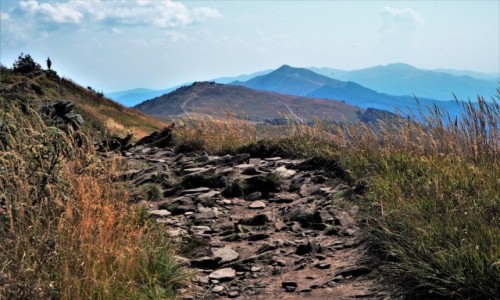 Zdjecie POLSKA / Bieszczady / szlak Grna Wetlinka - Chatka Puchatka - Osadzki Wierch / na Wetliskiej...