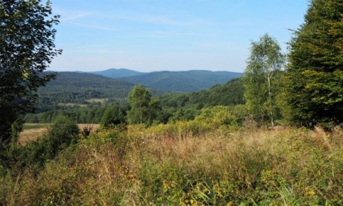 Zdjecie POLSKA / Bieszczady / Grna Wetlinka / w drog...
