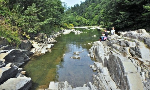 Zdjecie POLSKA / Bieszczady / rezerwat 