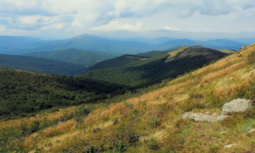 Zdjecie POLSKA / Bieszczady / Bukowe Berdo / sama przyjemno...