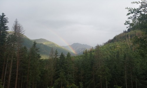 Zdjecie POLSKA / Tatry / Tatry / T�cza w Dolinie Rybiego Potoku
