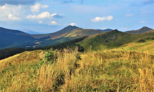 Zdjecie POLSKA / Bieszczady / szlak Woosate-Halicz-Tarnica / wspomnienia s, jak koraliki...
