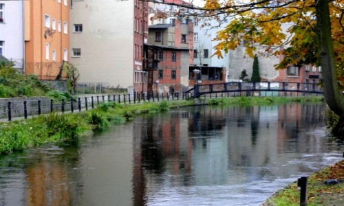 Zdjęcie POLSKA / Kujawy / Bydgoszcz / Bydgoska Wenecja.