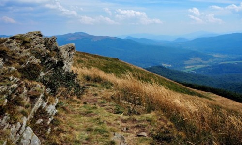 Zdjecie POLSKA / Bieszczady / Poonina Caryska / wolnym krokiem...