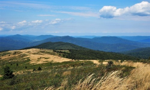 Zdjecie POLSKA / Bieszczady / Bukowe Berdo / kusz pejzaami...