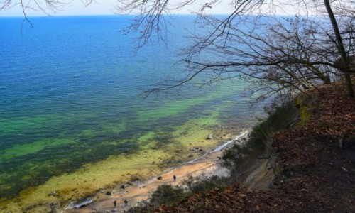 Zdjcie POLSKA / woj. pomorskie / Gdynia Orowo / wczesna wiosna nad Batykiem