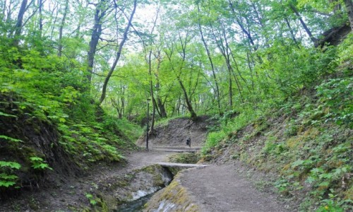 Zdjęcie POLSKA / mazowieckie / Serock / Droga do Grodziska Barbarka