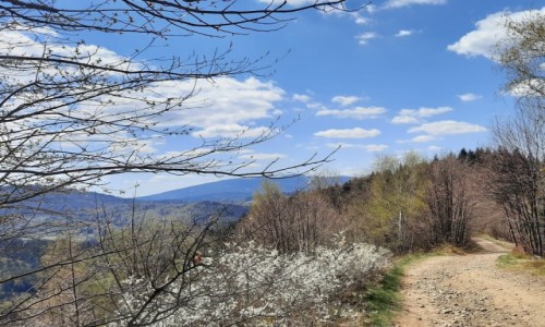 Zdjęcie POLSKA / woj. śląskie / okolice Koszarawy / w górach