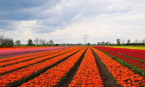 Zdjecie POLSKA / Pomorze / Trzcinisko / uawskie klimaty