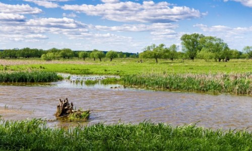 Zdj�cie POLSKA / Mazowsze / Stasiopole / Nadburza�ski krajobraz