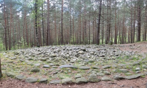 Zdjcie POLSKA / pomorskie / Wsiory / Kamienne Krgi - Wsiory